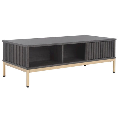 Table basse de rangement 2 portes SAFAVIEH Tamayo - 111 cm L x 55 cm P x 39 cm H - 44 cm L x 21 cm P x 15 cm H