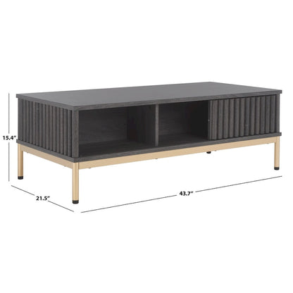 Table basse de rangement 2 portes SAFAVIEH Tamayo - 111 cm L x 55 cm P x 39 cm H - 44 cm L x 21 cm P x 15 cm H