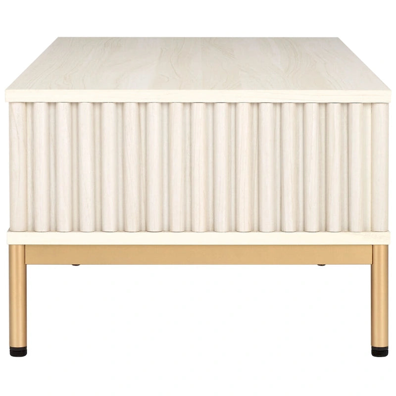 Table basse de rangement 2 portes SAFAVIEH Tamayo - 111 cm L x 55 cm P x 39 cm H - 44 cm L x 21 cm P x 15 cm H